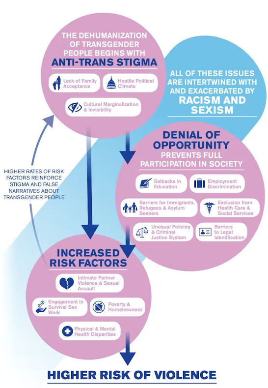 Flow chart of contributing factor to anti-trans violence.